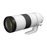 Canon RF 200-800 mm
